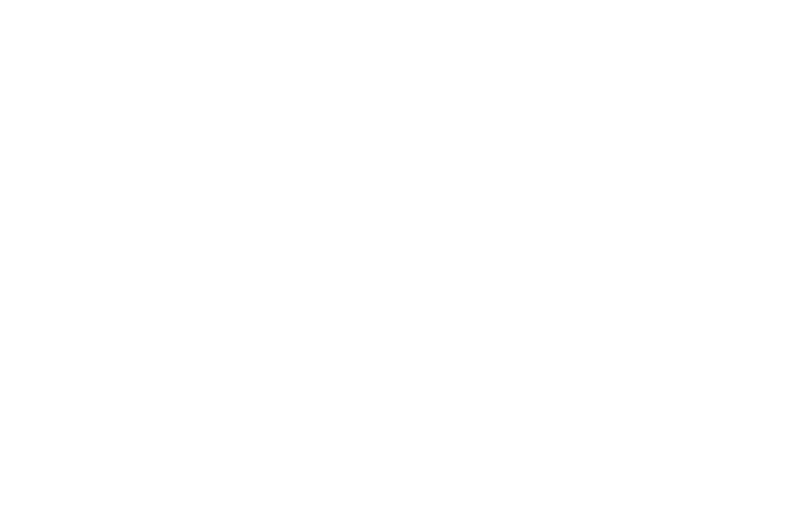 nbo_logo_complet_white logo n&bo